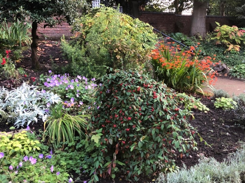 The Shakespearean Garden, Platt Fields Park